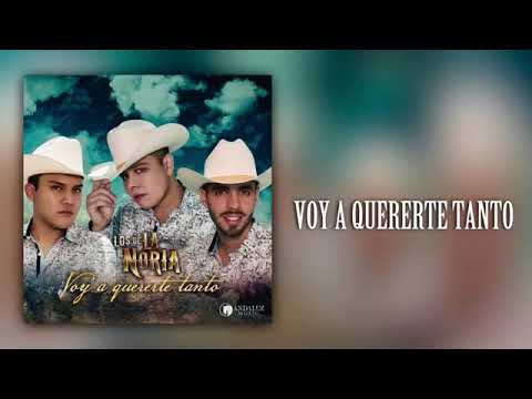 Voy a quererte tanto ~ Los de la noria (Letra)