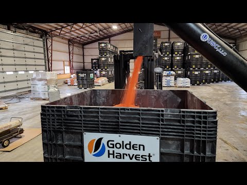 Let's Start Treating Beans - #644