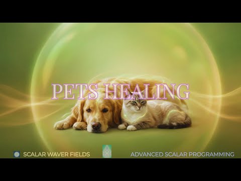 Pets Healing (Amplified Energetic In-Formation)