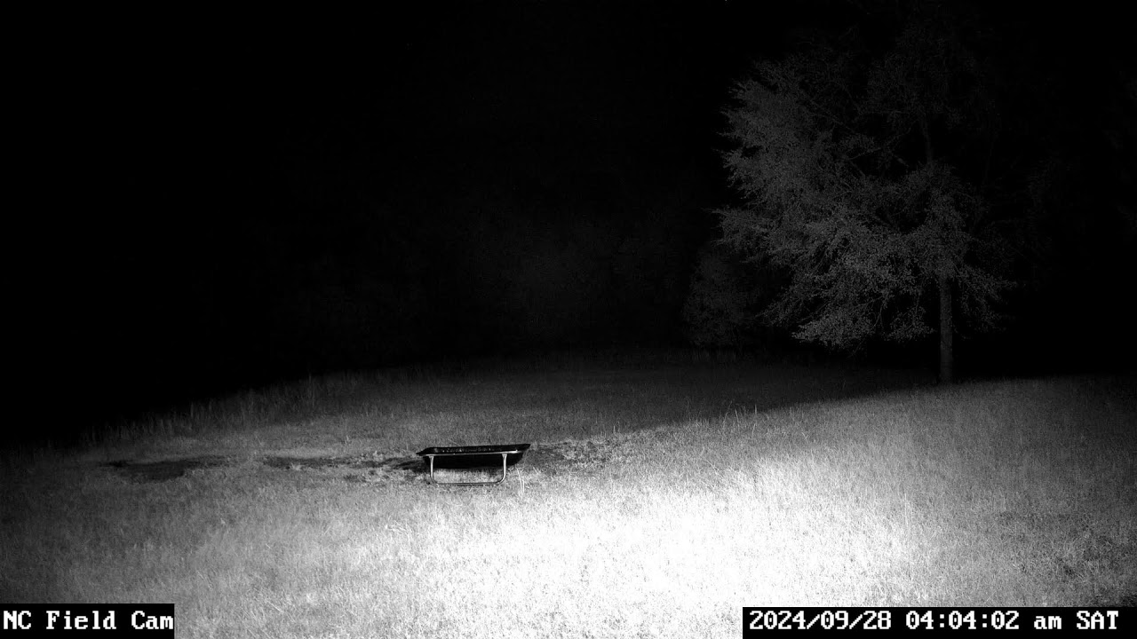 North Carolina Field Cam Live Stream