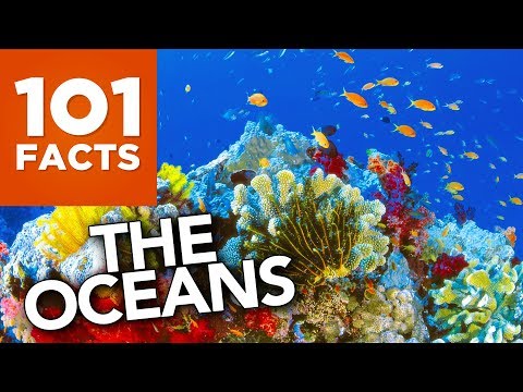 image-What percentage of the ocean is plastic 2020?