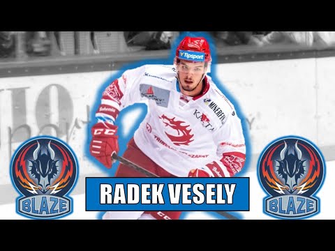 Coventry Blaze Sign Radek Veselý
