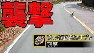 【実写】襲撃される男【リアルでクエスト】
