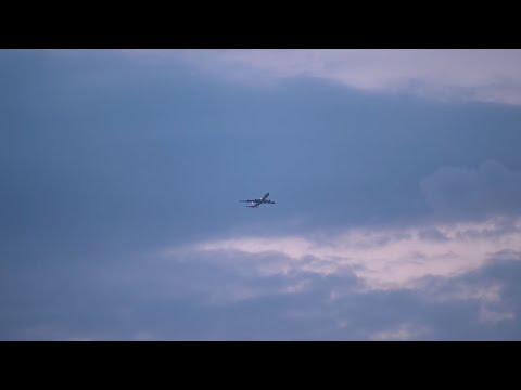 Serbian fighter jets escort President Xi Jinping's plane