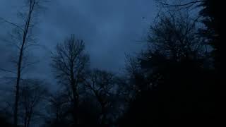 Spring Birdsong – Happy Equinox