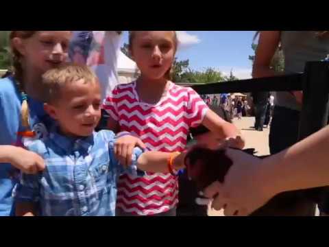download lagu mp3 mp4 Springs Preserve Ice Cream Festival, download lagu Springs Preserve Ice Cream Festival gratis, unduh video klip Springs Preserve Ice Cream Festival