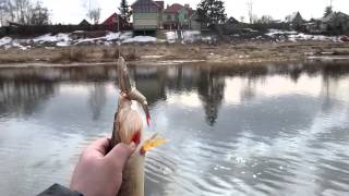 Рыбалка на москве реке в районе звенигород