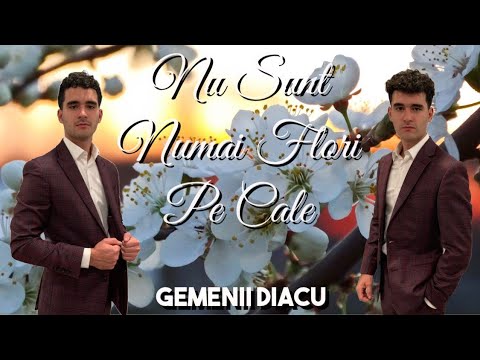 Gemenii Diacu - Nu Sunt Numai Flori Pe Cale ( Versuri )