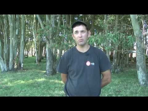 Establecimiento "Verde alto" de Rafael Tarán