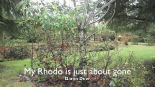 We&#39;re Doin Fine.mov