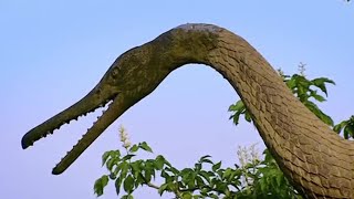 Dinosaurs: The Facts and Fiction - How to build a Dinosaur - BBC