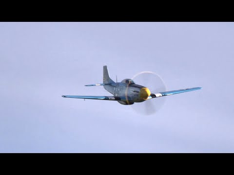 P-51D Mustang Louisiana Kid – RAW Merlin V12 ROAR! 🔥 Spectacular Airshow Display & Smooth Landing