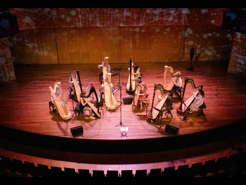 Terry Riley — In C — Dutch Harp Festival 2021