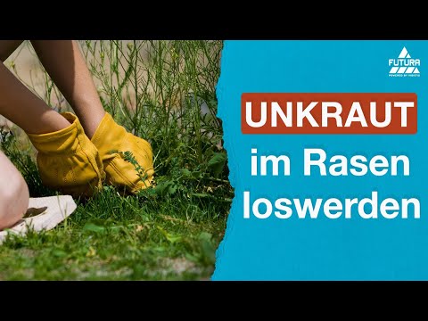 , title : 'Wie wird man Unkraut im Rasen los? 👉🏻 Die 5 besten Tipps'