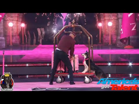 Adrian Stoica and Hurricane Full Performance America's Got Talent 2024 Quarter Final Week 1 Results