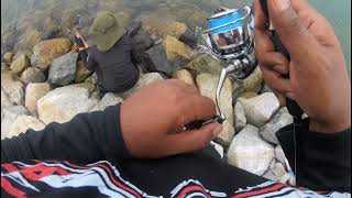 Download lagu 2022 Daiwa Exist LT2500S-XH Loud Drag Clicker Sound | Hear the Exist Drag!!! mp3 Download lagu 2022 Daiwa Exist LT2500S-XH Loud Drag Clicker Sound | Hear the Exist Drag!!! mp3