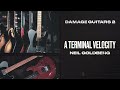 Video 4: A Terminal Velocity by Neil Goldberg