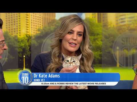 Responsible Pet Ownership Month | Studio 10