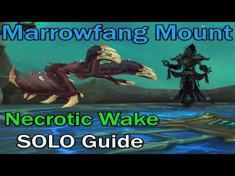 Necrotic Wake ~ Mythic SOLO Guide for Marrowfang Mount Farm