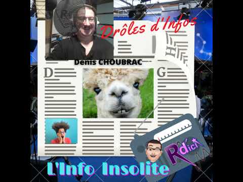 DRÔLES D'INFOS 11 FEVRIER 2024