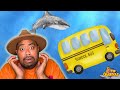 Wheels On The Bus Underwater Version Under The Sea Water Animals And Fish Dolphin Sharks