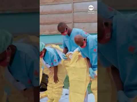 Ebola outbreak is 'likely far worse' than official figures suggest, IRC says
