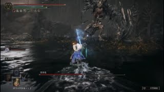 エルデンリングDLC 霊炎竜 (墓地平原)【ELDEN RING SHADOW OF THE ERDTREE】