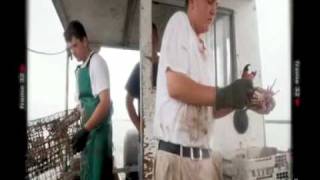 Beyoncé - God Bless The U.S.A. (Live CNN)