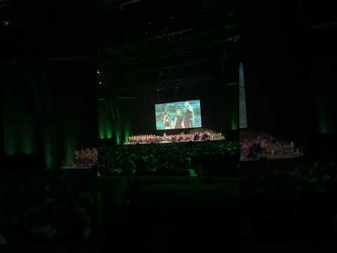 "Another Buster Sword" & "Toward Mt. Nibel" LIVE @ FFVII Rebirth Concert (Rotterdam 2024)