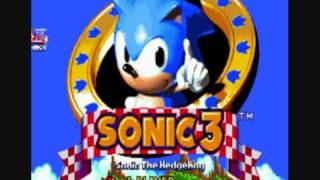 Sonic the Hedgehog 3 - Ice Cap Zone (Pistol's Whip Remix)