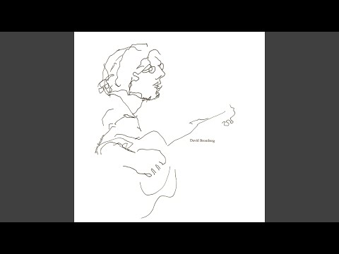 The Holdup - David Bromberg