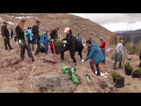 Reconstrucție forestieră — Zone degradate