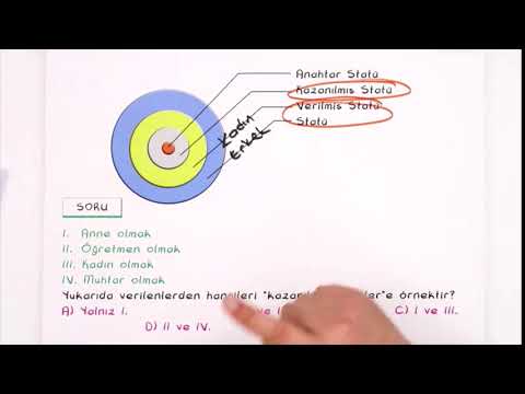 11. Sınıf Sosyoloji | Birey ve Toplum - 1 (sosyalleşme, toplumsal konum, rol ve statü...) (Özet)