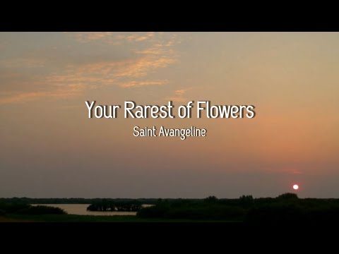 Your Rarest of Flowers- Saint Avangeline (lyrics)🥀