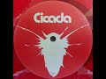 A - Cicada - Cut Right Through