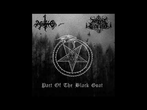 Aske & Gnosis Occultus - Pact Of The Black Goat (Full Split)