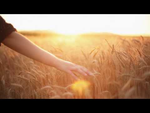 愛好愛滿 - 34bit｜Official Music Video