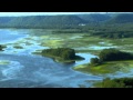 The Crossing