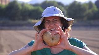 Espigoladors: segones oportunitats per a fruites i verdures lletges i persones boniques