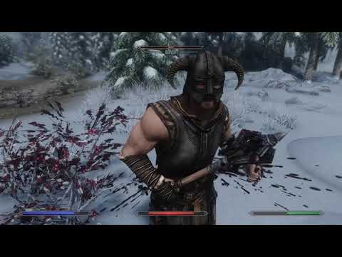 [DiD Serie] Episode 2 : Skirmish (Requiem 3.4 + AZT on Skyrim SSE)