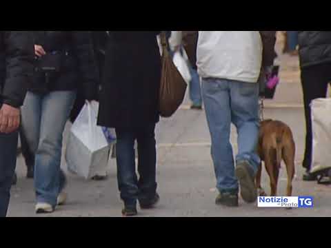 2018-03-13 PRATO - MALTRATTAMENTI A MOGLIE, CONDANNATO IMPRENDITORE