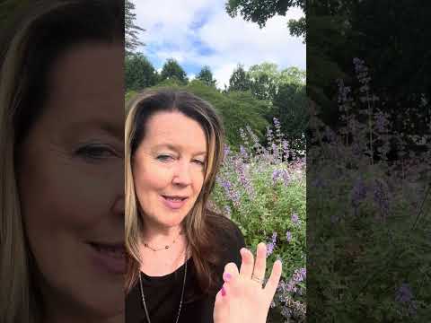 Flowers of the week @clairekennarealestateagent