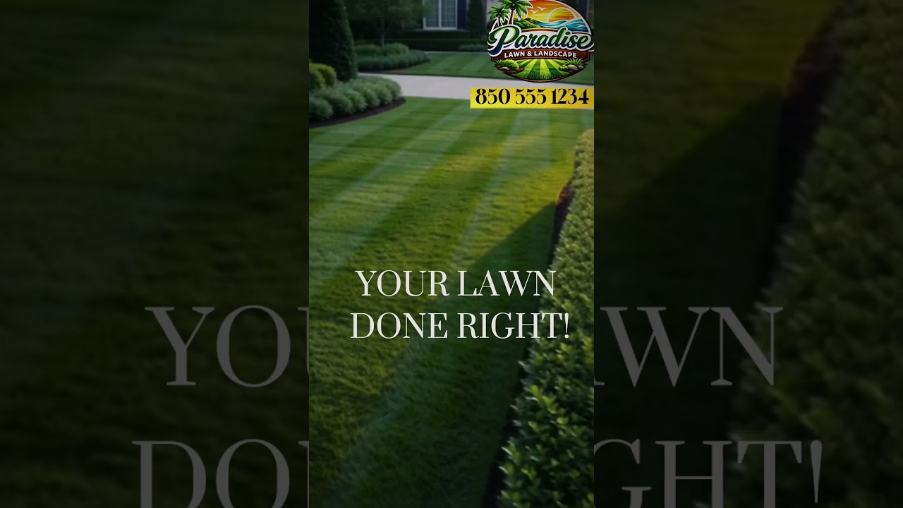 15 Second Social Media Commercial