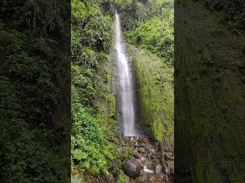 cascada las mariposas en la florida Pereira Risaralda #travel #vistashermosas #paisajesextremos