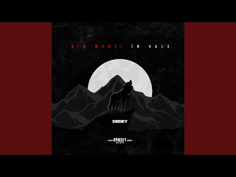 Veri Din Vale (feat. Nimeni Altu' & Butch)