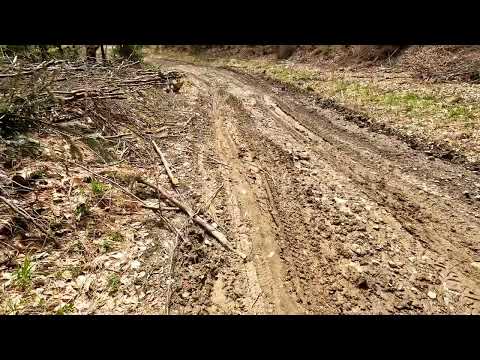 24.04.2022- MTB Cozia prima cățărare.. și apoi o coborâre faina