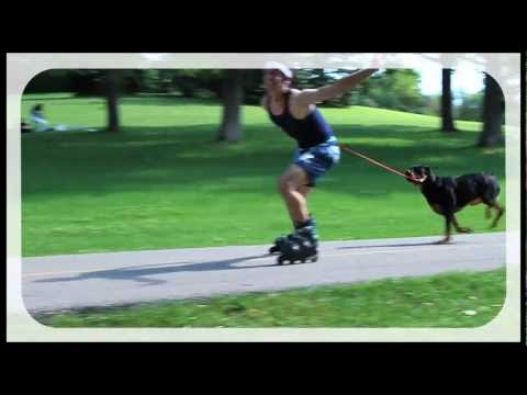 KING DYLAN - SING SING SING [Official Video]