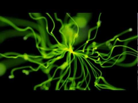 Kikko Ivanov feat Vessy Boneva - I Want You Back (Deso And Kikko Ivanov Remix) [PREVIEW]