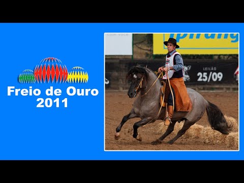 NOSTALGIA FREIO DE OURO 2011