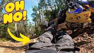 This ride did not go to plan...